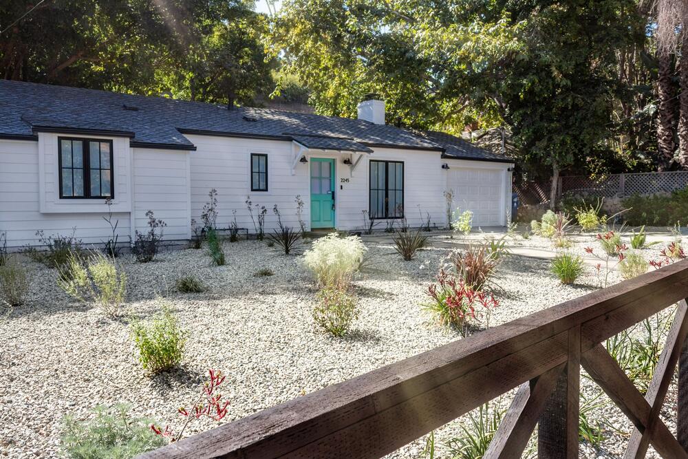 california native plants